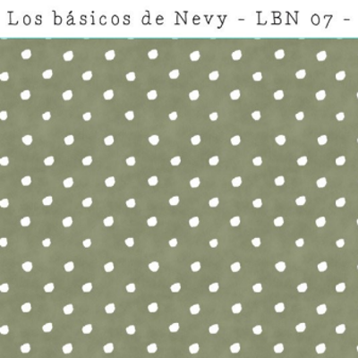 Básicos de Nevy LBN 07