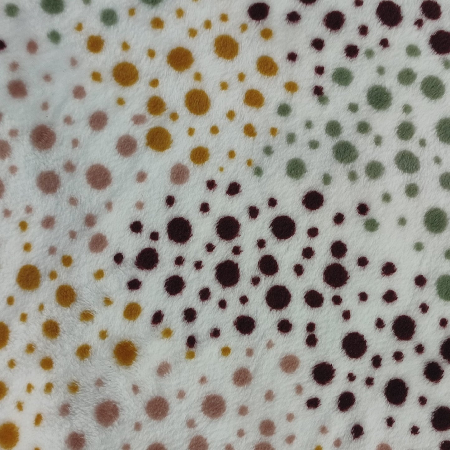 Coralina con puntos de colores sobre fondo blanco