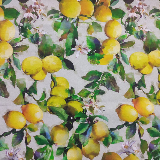 Loneta limones